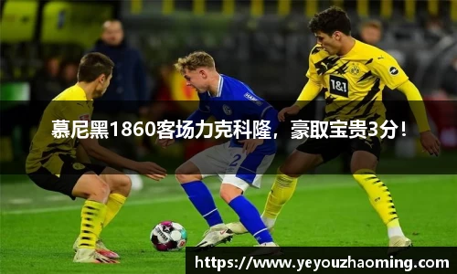 k1体育