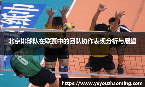 北京排球队在联赛中的团队协作表现分析与展望