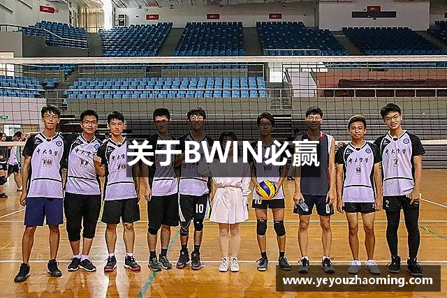 关于BWIN必赢